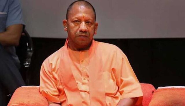 yogi_02-18.jpg