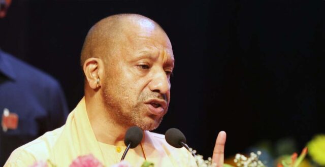 yogi_0_2_1-1.jpg