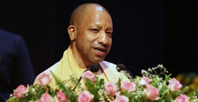 yogi_0_2_3-2.jpg