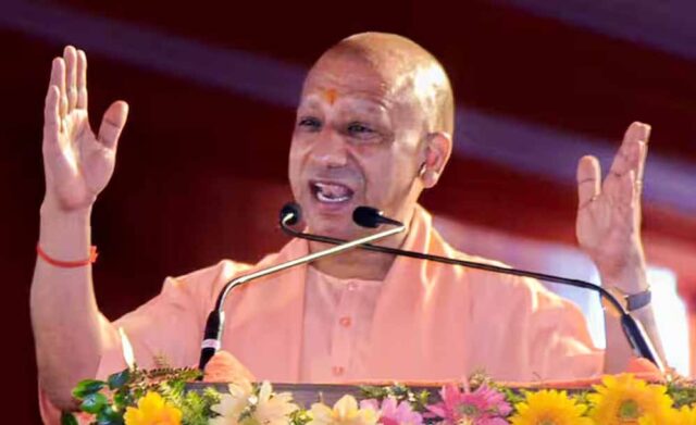 yogi_102_2-1.jpg