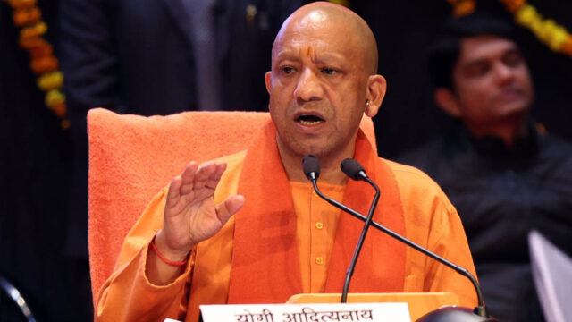 yogi_133_2-1.jpg