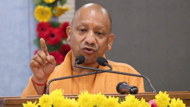 yogi_133_6-3.jpg