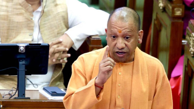 yogi_3A_111_1-1.jpg
