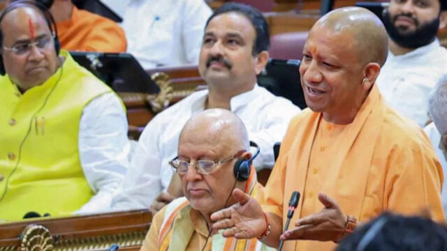 yogi_3A_111_3.jpg