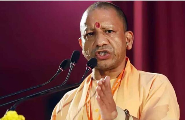 yogi_60_2.jpg