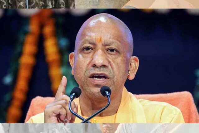 yogi_89_1-2.jpg