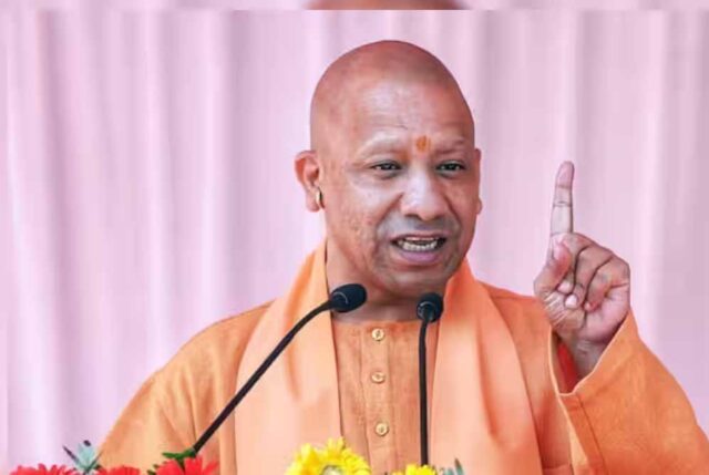 yogi_cm_132_1.jpg