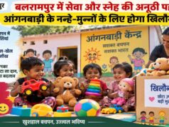 रायपुर : बलरामपुर जिले में सेवा और स्नेह का अनूठा संकल्प, आंगनबाड़ी के नन्हे-मुन्नों के लिए होगा खिलौना दान