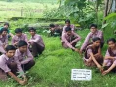 यूपी के 49 पीएमश्री स्कूलों को मिलेंगे ₹20-20 हजार, पढ़ाई के साथ बागवानी सीखेंगे बच्चे