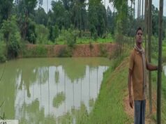 मावा मीन अभियान- नारायणपुर के ग्रामीण अंचल में आजीविका की नई क्रांति