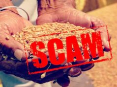 Jabalpur BPL Ration Scam: 4,998 संपन्न परिवार मुफ्त राशन लेते पकड़े गए, कंपनी डायरेक्टर भी शामिल
