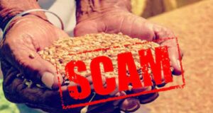 Jabalpur BPL Ration Scam: 4,998 संपन्न परिवार मुफ्त राशन लेते पकड़े गए, कंपनी डायरेक्टर भी शामिल