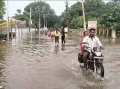 महानदी उफान पर, शबरी पुल से 6 फीट ऊपर पानी; शिवरीनारायण का संपर्क कटा