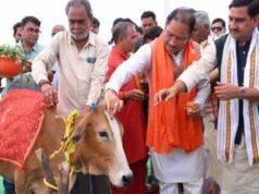 CG में पोला पर्व की धूम, CM विष्णुदेव साय कार्यक्रमों में होंगे शामिल