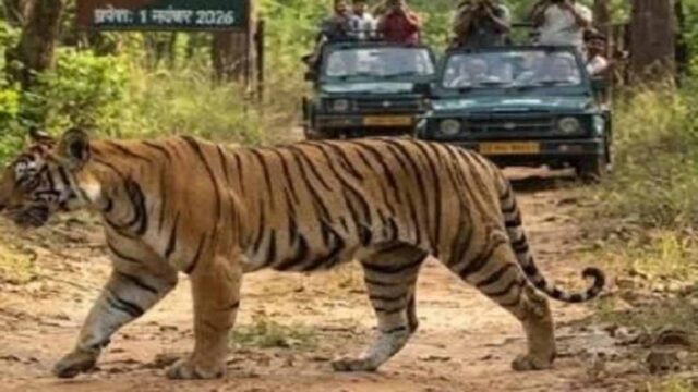 Chhattisgarh_News_06-2-13.jpg