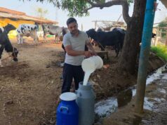 सेवा की कहानी: परंपरागत गौपालन को आधुनिक तकनीक का साथ, राजनाथ ने खड़ा किया सफल डेयरी व्यवसाय
