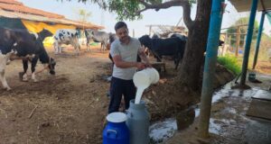 सेवा की कहानी: परंपरागत गौपालन को आधुनिक तकनीक का साथ, राजनाथ ने खड़ा किया सफल डेयरी व्यवसाय