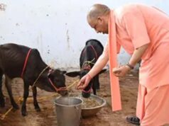 गोशालाओं को अब संरक्षण के साथ बनाया जाएगा आत्मनिर्भरता का मॉडल