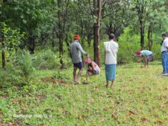 सेवा संकल्प अभियान: घोघरा जलाशय में जनभागीदारी से स्वच्छता और पर्यावरण संरक्षण का संदेश