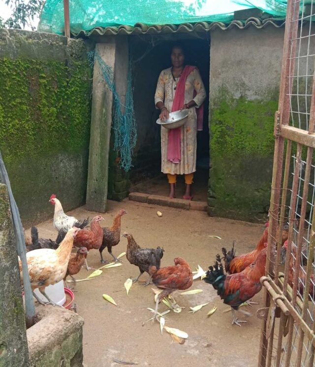 Murgi_02.jpg