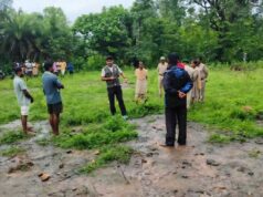 सुकमा वन क्षेत्र में बाघ की मौजूदगी के संकेत, ग्रामीणों को सतर्क रहने की अपील वन विभाग की टीमें निगरानी में जुटीं