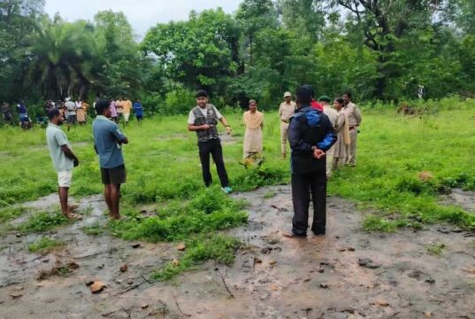 सुकमा वन क्षेत्र में बाघ की मौजूदगी के संकेत, ग्रामीणों को सतर्क रहने की अपील वन विभाग की टीमें निगरानी में जुटीं