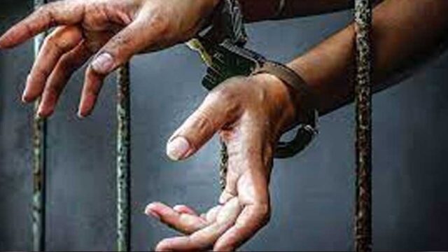 arresteda_132_2-2.jpg