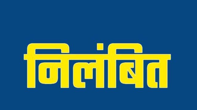 nilmbit_suspended_3_1.jpg