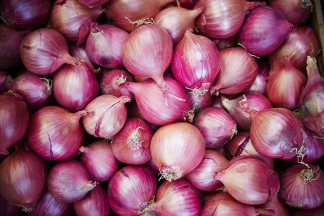 onion_7_1.jpg