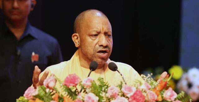 yogi_0_2_2-2.jpg