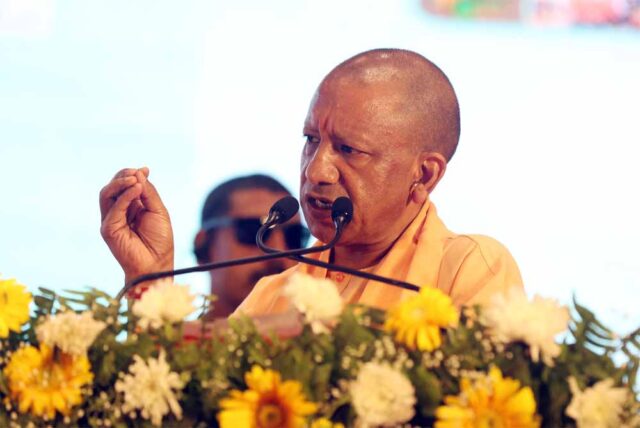 yogi_5765797-1.jpg