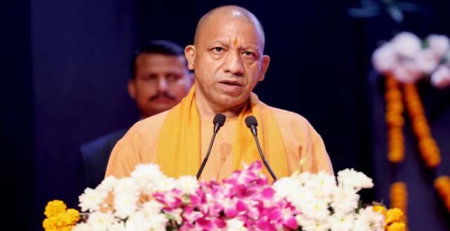 yogi_A_14_2-1.jpg
