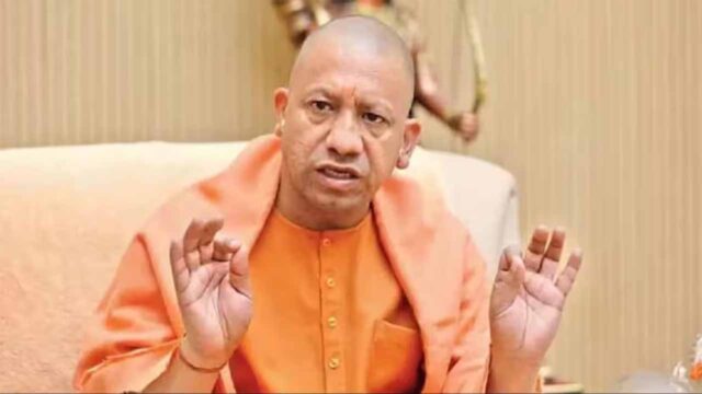 yogi_new.jpg