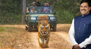 कान्हा एशिया का सबसे बड़ा नेशनल पार्क, वन्य प्राणियों के नैसर्गिंक जीवन निहारने एक बार कान्हा जरूर आएं : मुख्यमंत्री डॉ. यादव