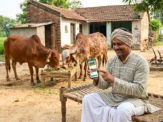 यूपी में पशुपालकों को बड़ी राहत, अब गुजरात-राजस्थान जाए बिना खरीद सकेंगे साहीवाल और गिर गाय