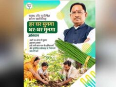 छत्तीसगढ़ में कुपोषण और एनीमिया से लड़ने के लिए शुरू होगा ‘हर घर मुनगा, घर-घर मुनगा’ अभियान