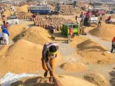 छत्तीसगढ़ में धान खरीदी की तैयारी तेज, किसानों को नहीं होगी परेशानी
