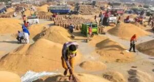छत्तीसगढ़ में धान खरीदी की तैयारी तेज, किसानों को नहीं होगी परेशानी