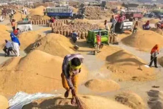 छत्तीसगढ़ में धान खरीदी की तैयारी तेज, किसानों को नहीं होगी परेशानी