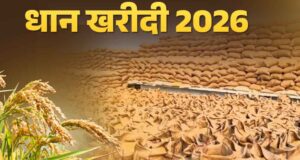 धान खरीदी के लिए सरकार के सख्त नियम, हर बोरी पर QR कोड अनिवार्य; देरी पर लगेगा जुर्माना