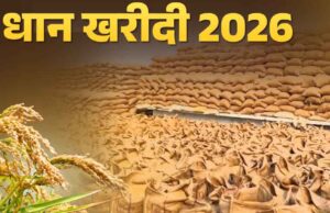 धान खरीदी के लिए सरकार के सख्त नियम, हर बोरी पर QR कोड अनिवार्य; देरी पर लगेगा जुर्माना