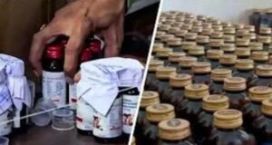 कोडीन कफ सिरप केस में STF का बड़ा एक्शन, 100 स्टॉकिस्टों की बिलिंग और दवा कारोबारियों की जांच