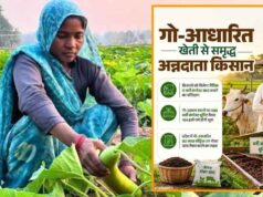 प्राकृतिक खेती से बदलेगी गांवों की अर्थव्यवस्था, यूपी में बनेंगे प्राकृतिक खेती के जिले