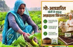 प्राकृतिक खेती से बदलेगी गांवों की अर्थव्यवस्था, यूपी में बनेंगे प्राकृतिक खेती के जिले