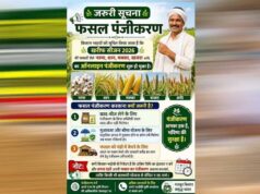 धान, ज्वार और बाजरा उपार्जन के लिए रिकॉर्ड पंजीयन, 10 अक्टूबर तक मिलेगा मौका