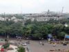 इंदौर में 182 हरे-भरे पेड़ों की कटाई को हाई कोर्ट की सशर्त मंजूरी, हजारों पक्षी होंगे प्रभावित