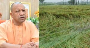 सीएम योगी का निर्देश: बारिश से नुकसान का तत्काल आकलन कर प्रभावितों को दिलाएं क्षतिपूर्ति