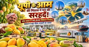 सात समंदर पार पहुंची यूपी के आम की मिठास, पांच साल में 90 हजार क्विंटल निर्यात