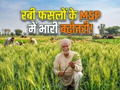 रबी फसलों के MSP में बढ़ोतरी, दलहन-तिलहन पर सरकार का खास जोर