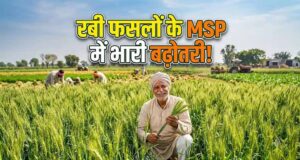 रबी फसलों के MSP में बढ़ोतरी, दलहन-तिलहन पर सरकार का खास जोर